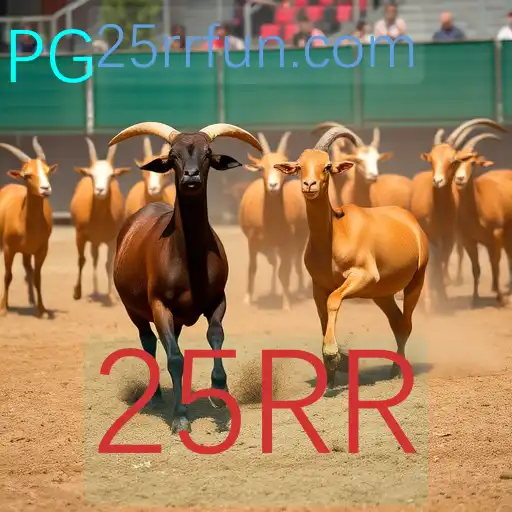 Rinha de galos